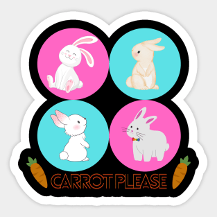 Carrot please rabbit lover on T-shirt/ Gift for rabbit lover/Cute rabbit Sticker